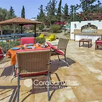 Villa Large Pool Garden, Billiard, Peaceful Area, Near To The Sea, Coral Bay Paphos